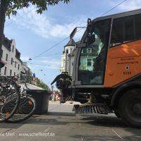 Großer oranger Brummer 